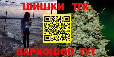 молекула духа Пугачёв